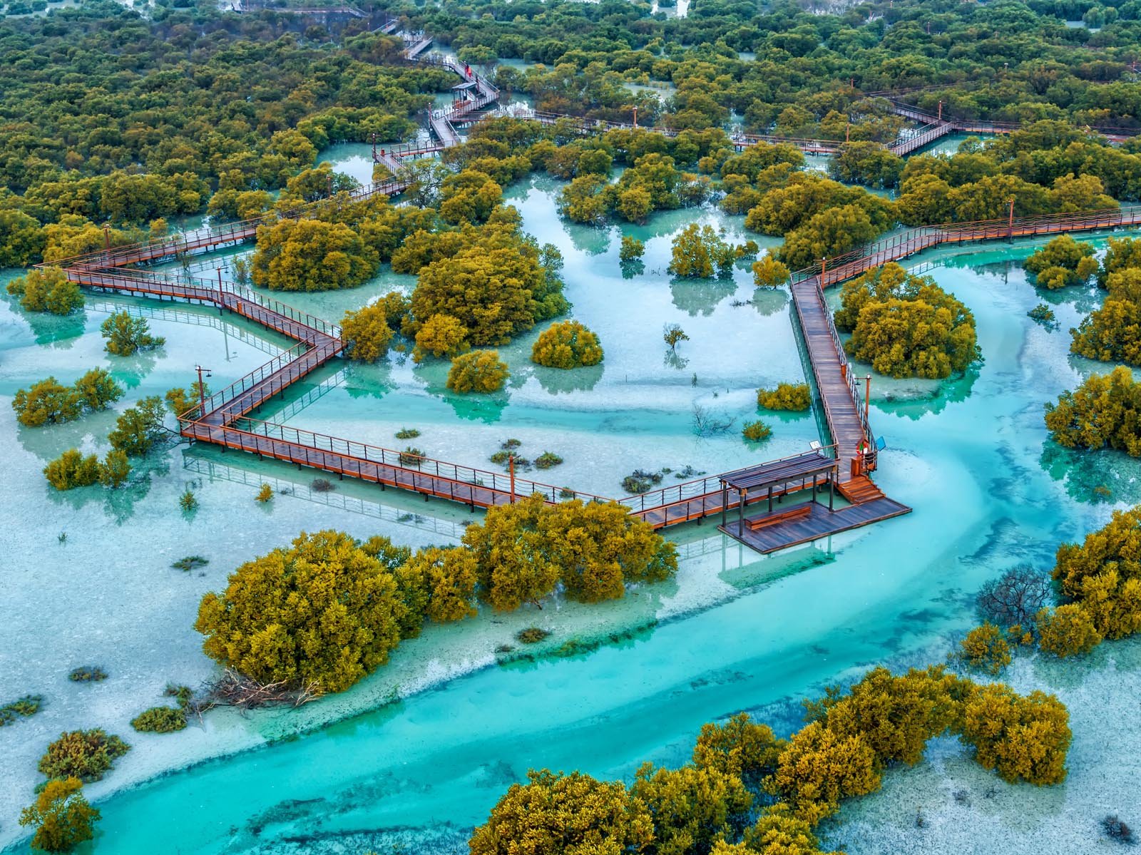 Jubail-Mangrove-Park-drone-
